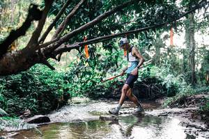 BIB: 
                            <button type="button" onclick="openModal(25399487)" class="btn btn-primary btn-sm float-right btn-popup" data-toggle="modal" data-target=".modal-high-quality">
                        <i class="fas fa-shopping-cart"></i> Add to Cart
                    </button>
                                            <button type="button" onclick="isThisMe(25399487, true)" class="btn btn-success btn-sm float-right btn-popup btn-isme hidden" data-toggle="tooltip" data-placement="bottom" title="นี่คือรูปของคุณใช่ไหม คลิกที่นี่เพื่อเอาเข้าอัลบั้ม">
                        <i class="fas fa-plus"></i> Add to album
                    </button>
                    <button type="button" onclick="isThisMe(25399487, false)" class="btn btn-warning btn-sm float-right btn-popup btn-isnotme hidden">
                        <i class="fas fa-ban"></i> Remove from album
                    </button>